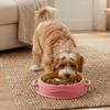 Non-Slip Anti-Choke Bowl Silicone Licking Bowl Portable Pet Food Dish  Pets Training