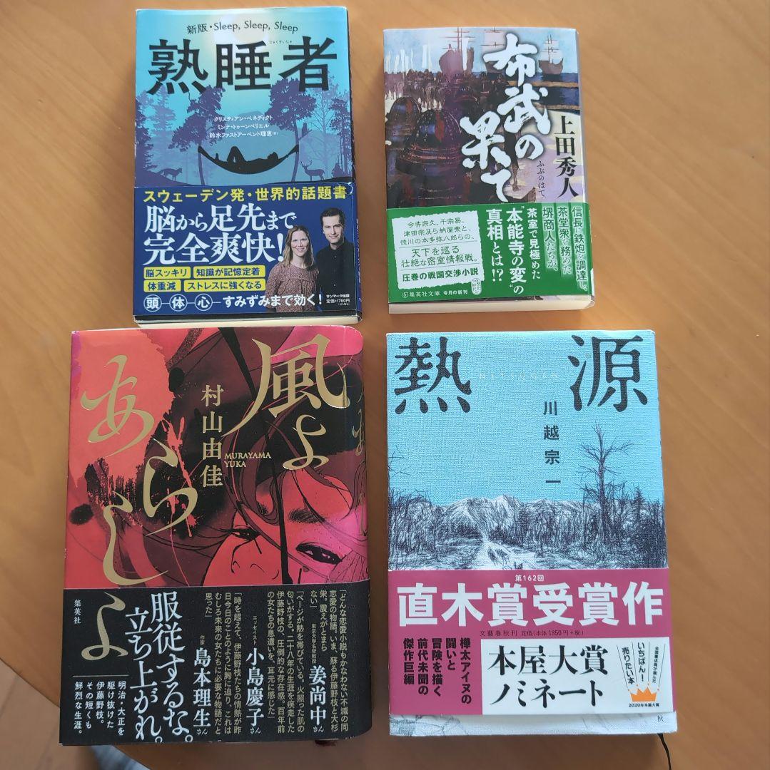 

[USED] Deep sleeper, Fubu s paradise, wind, heat source