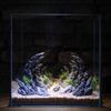 Hideout Caves Simulation Landscaping Stone Rockery Ornaments Hiding Cave Shelter For Aquarium Fish Tank Decoration