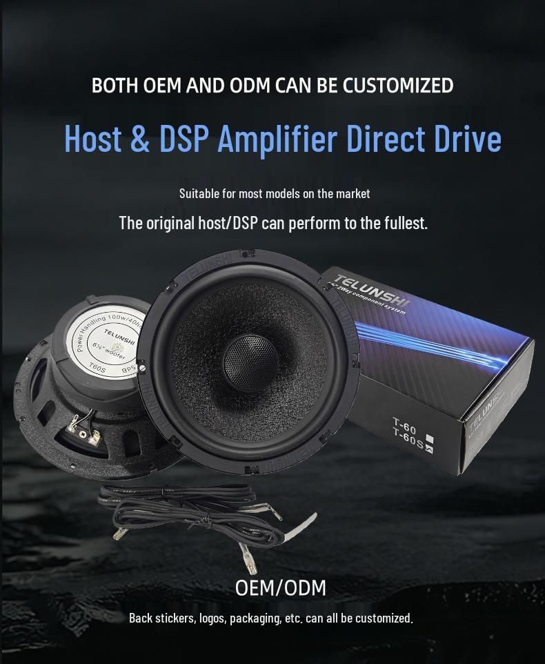 6.5-Inch Coaxial High Fidelity Car Door Speaker