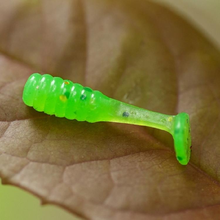 50 Stück 1,5 cm Paddelschwanz-Wobbler Weiche Angelköder für Forellen Künstliche Köder Angelköder Schwimmköder Mehrfarbig