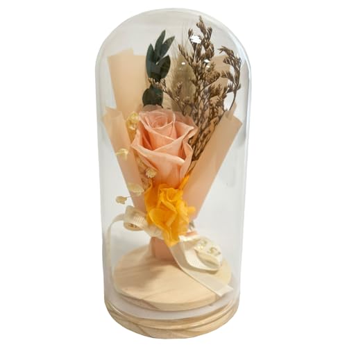 Q-FLA Preserved Flower Dome Arrangement, Orange, Perfect for Gifts and Celebrations, 813672