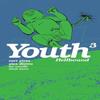 Youth Volume 3 by Dee Cunniffe Paperback Book 9781506737140