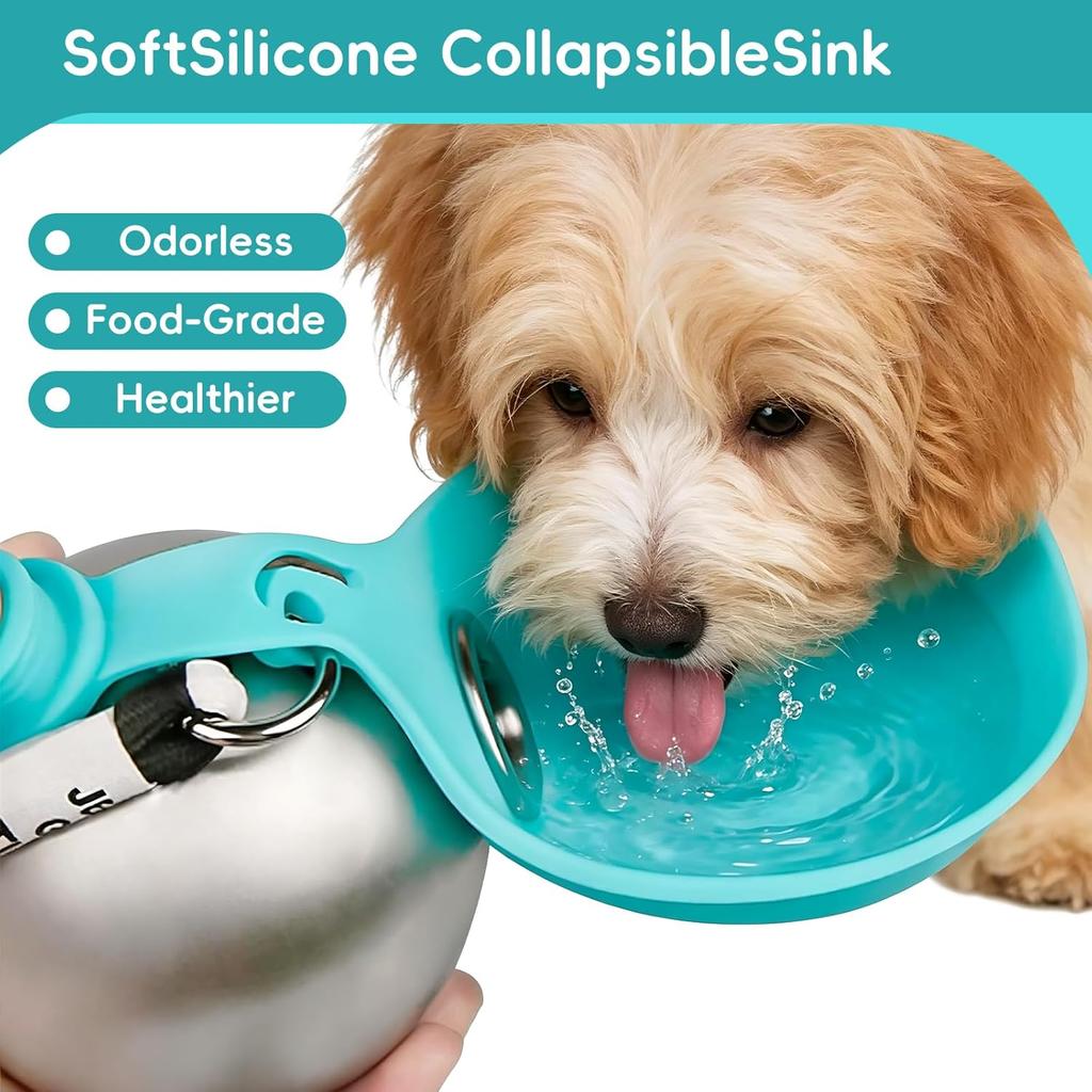 10oz Edelstahl Hundewasserflasche 2 in 1 Auslaufsicher Tragbarer Haustier-Reisebecher Faltbare Silikonschüssel für Outdoor-Spaziergänge Camping