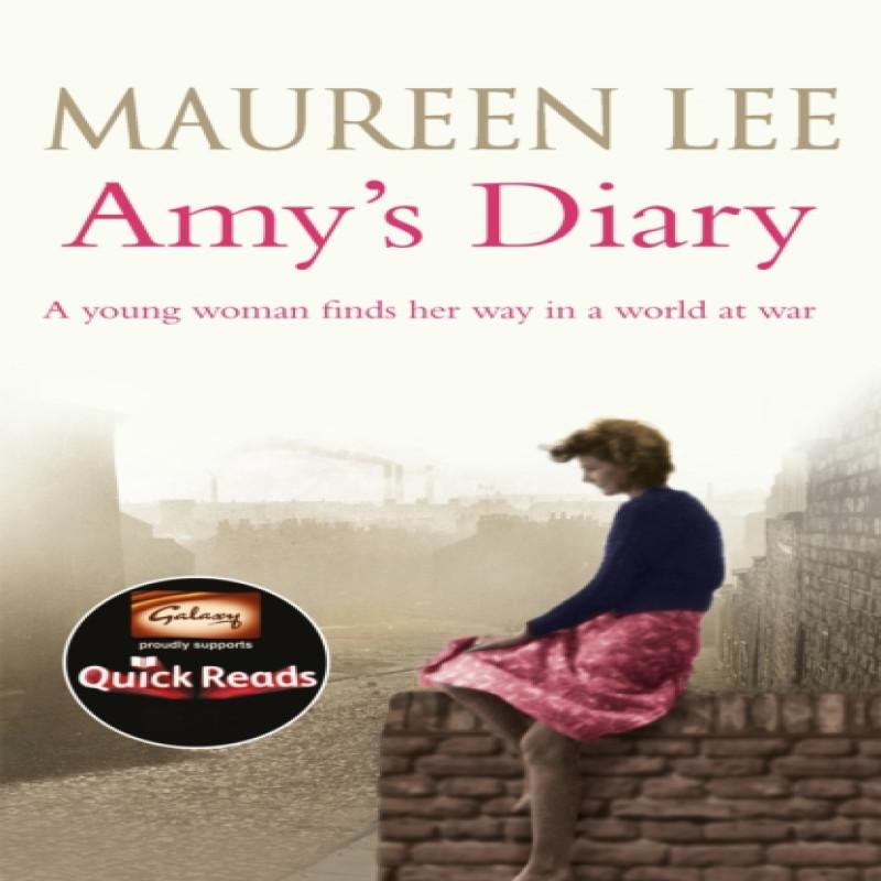 Amys Diary by Maureen Lee Paperback Book 9781409137382