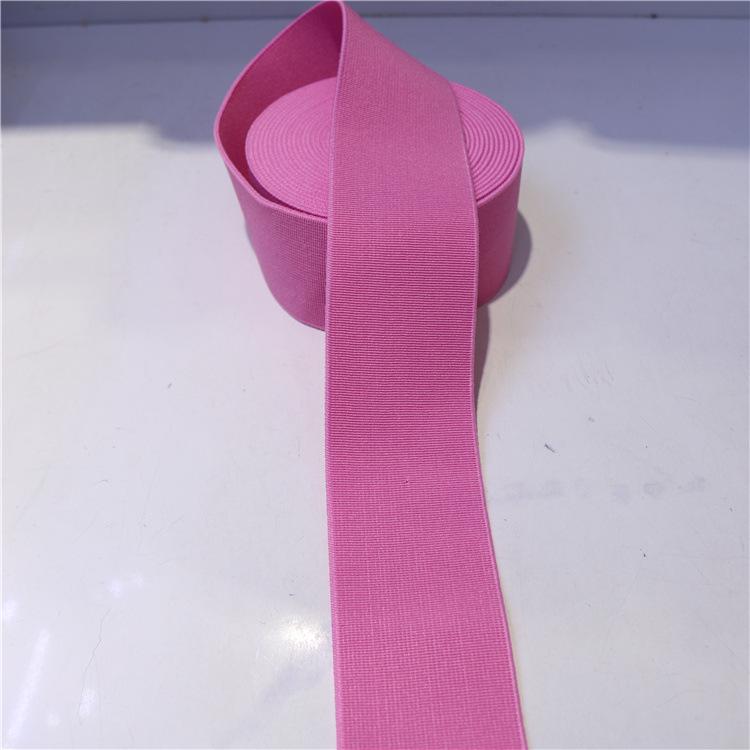 Polyester Imitation Nylon Elastic Webbing with Spot Color Processing - Clothing Accessories Rubber Band