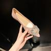 New Style Button-up Pointed-toe Low-heeled Flat Shoes for Dancing, Women's Style