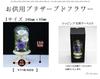 Art for Seasons Mini Offering Flowers Mini Glass Lila Preserved Flowers