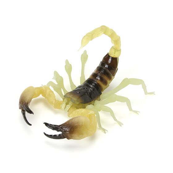 BANDAI The Big Creature full set of 5 types - Encyclopedia Scorpion, (including rare)