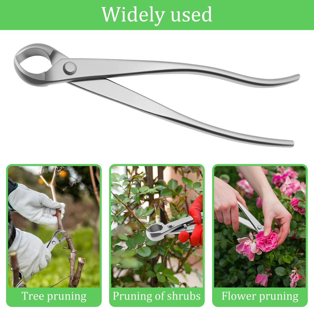 Kit per la Cura del Bonsai Acciaio Inossidabile Resistente all'Usura Kit Attrezzi per Alberi Bonsai Kit di Potatura Salvaspazio con Manico Lungo Ergonomico 2025