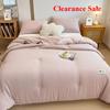 2025 Type A Winter Quilt Thickened Warm Quilt Core Spring and Autumn Student Dormitory Single Summer Cool Air Conditioner Quilt