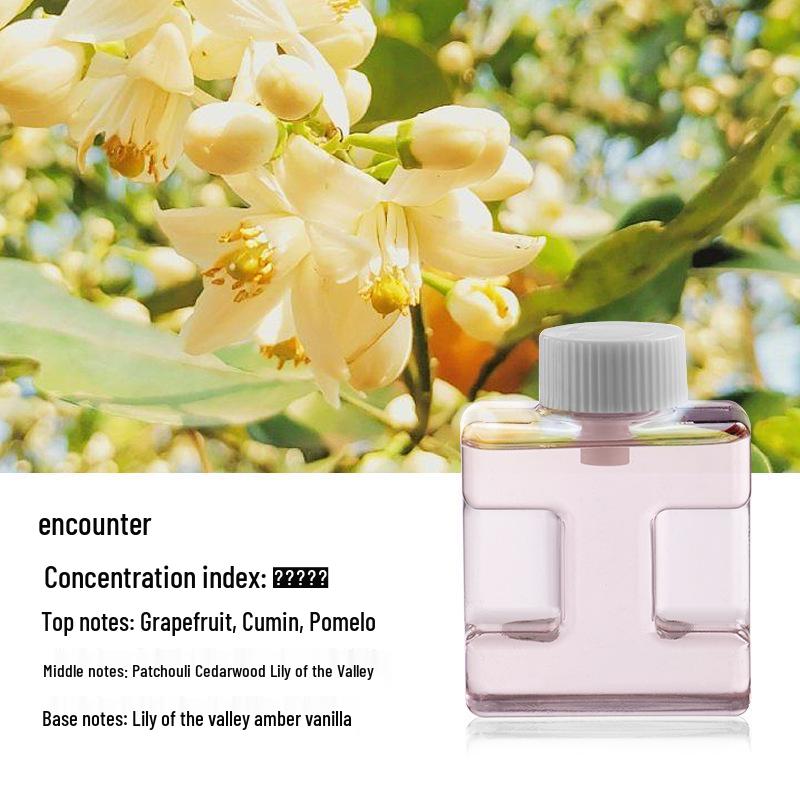Smart Aroma Diffuser: Automatic Incense Burner & Multi-functional Air Freshener