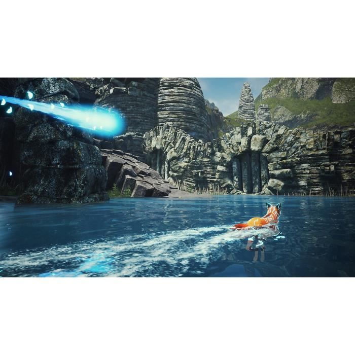 Spirit of the North Jeu Nintendo Switch