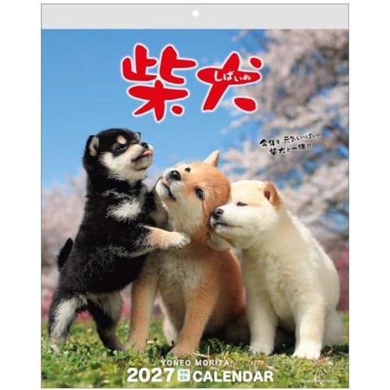Active Corporation 2027 Calendar Wall Hanging Mori Taibei Marugoto Shiba Inu 27ACL-11 Starts January