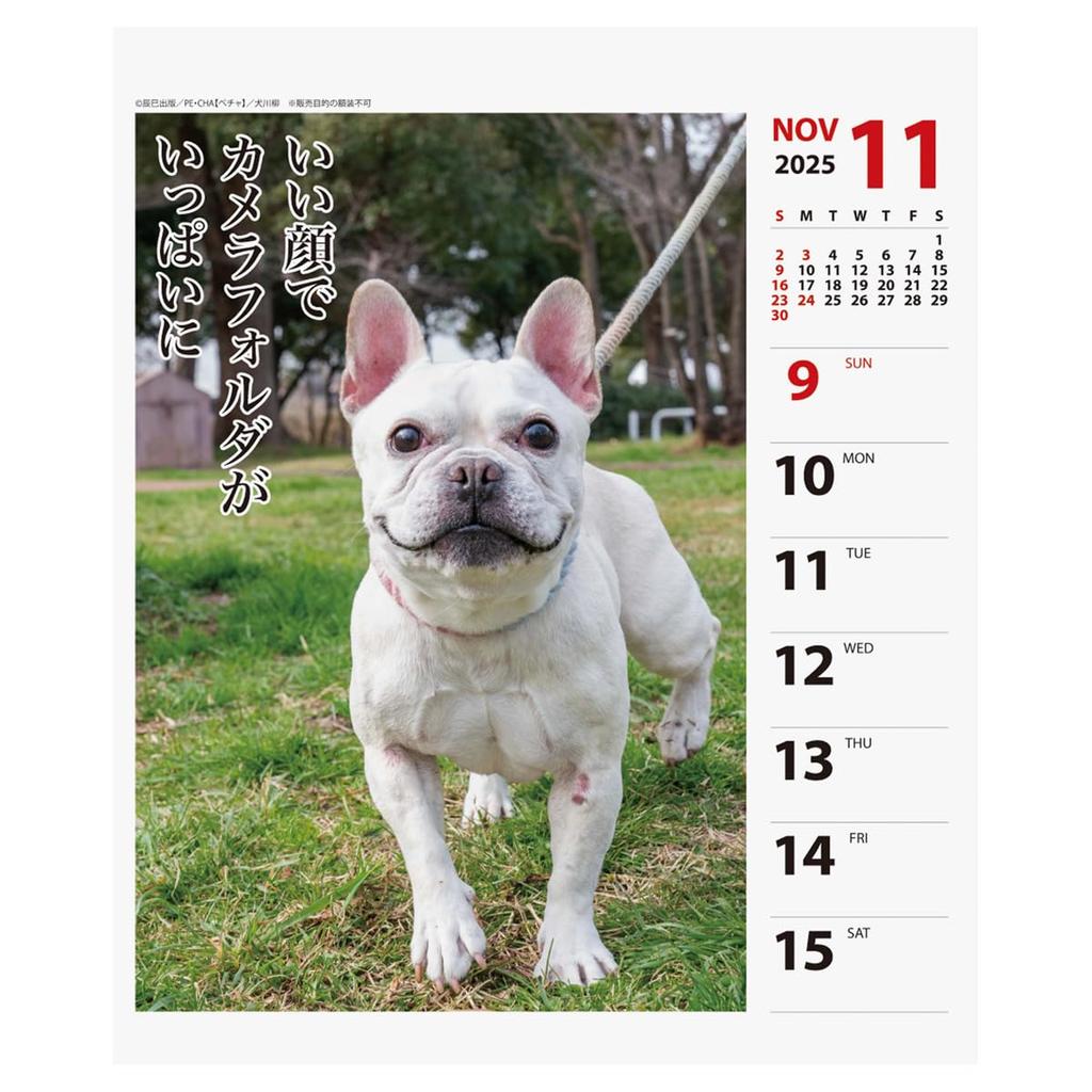 2025 Petcha Senryu (Weekly) Calendar No.026