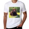 CHONKY BOI TShirt T Shirts for Unisex Cotton Funny T Shirts for Unisex Graphic Tees TShirt