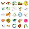 50 Biomedical Stickers New Product Biology Laboratory Children's Picture Recognition Puzzle Science Stickers