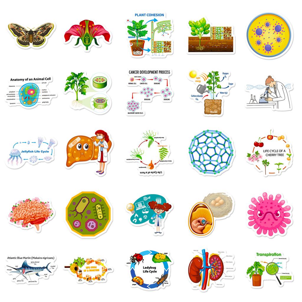 50 Biomedical Stickers New Product Biology Laboratory Children's Picture Recognition Puzzle Science Stickers