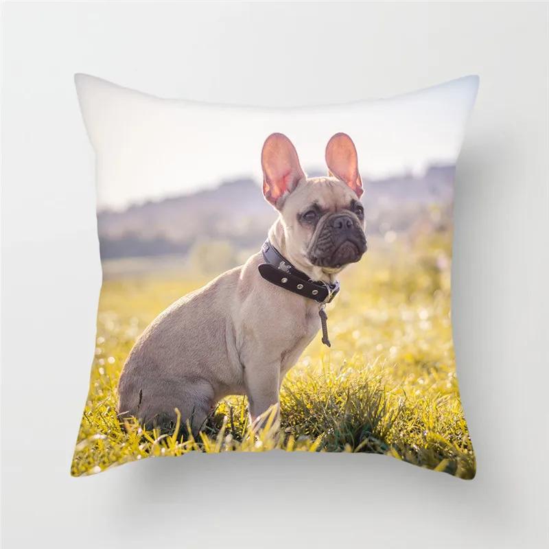 French Bulldog Polyester Cushion Cover Animal Dog Printed Pillow Cover For Sofa Home Living Room Decorative Pillowcase 45X45Cm