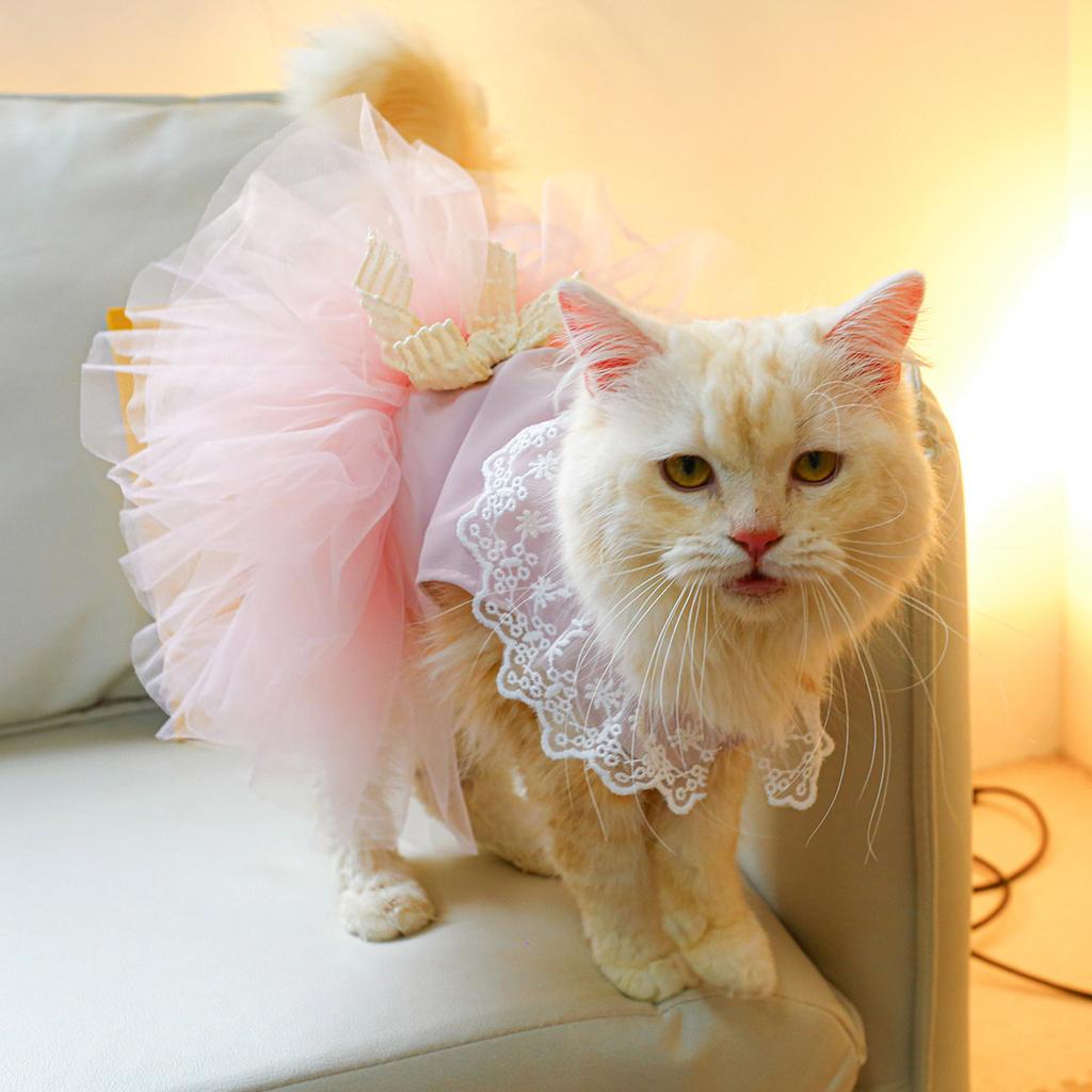 Small Dog Costume French Dress Party Tulle Dresses Cat Festival Clothes Dog Lace Dresses Breathable-Pet Photography Suit