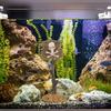 Decorazione per acquario Ornamento Cartone animato Resina Squalo artificiale Segnale di avvertimento Accessori per il paesaggio per acquario Sfondo per acquario