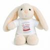 Plush Rabbit Baby Doudou Future Best Nurse Gift Birth Girl Newborn Baby Shower