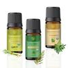 Carno Calm Essential Oils Combo Pack | Pack of 3 | USDA Approved, 100% Pure Tea Tree Oil, Lemongrass Oil, Frankincense Oil 10ml Each for Diffusers