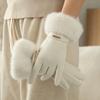 Gloves For Women In Autumn And Winter  Thickened With Velvet For Warmth