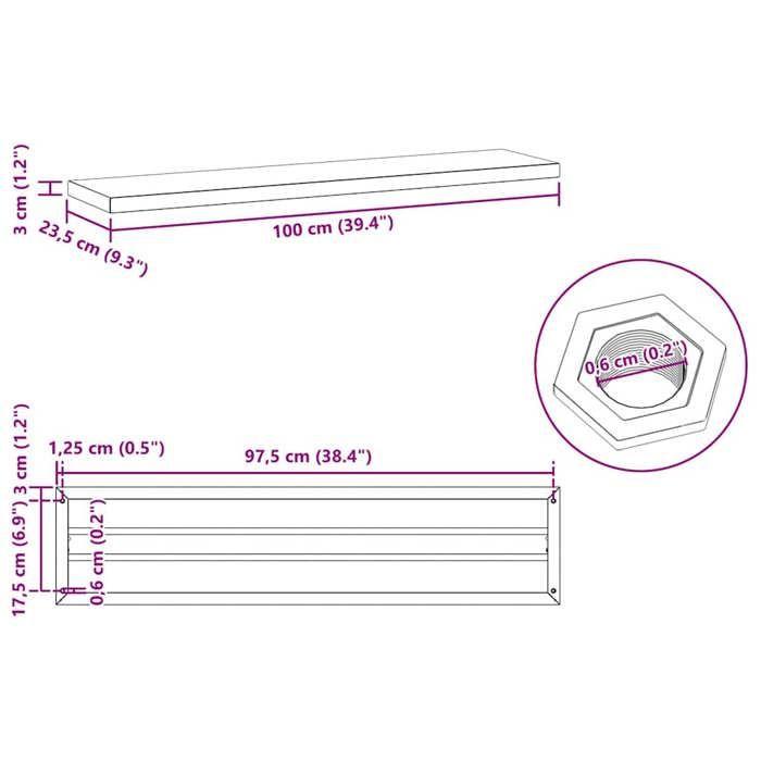 VidaXL Wall Shelves 2 Pcs 100x23.5x3 Cm Black Stainless Steel, Floating Shelf, Wall Display Shelf, Panel 30289
