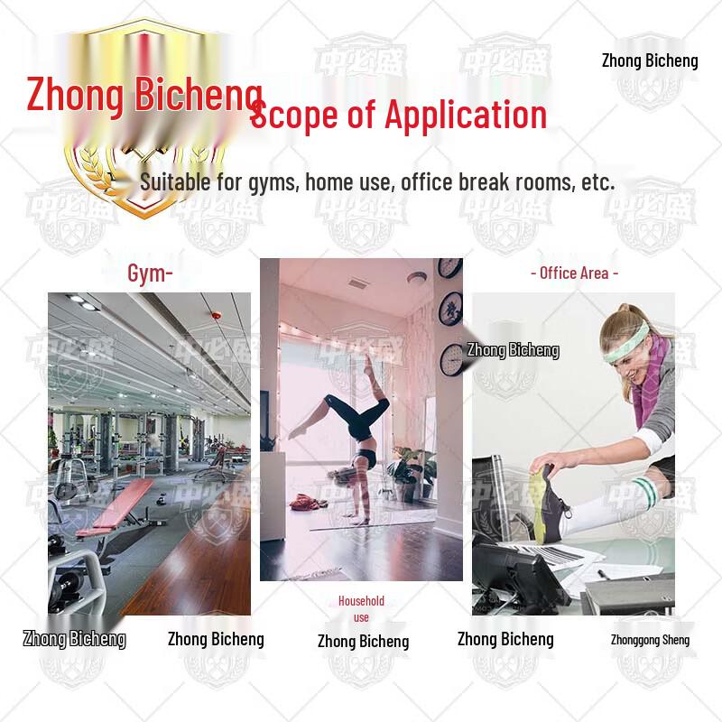 Zhongbisheng Commercial & Home Fitness Equipment