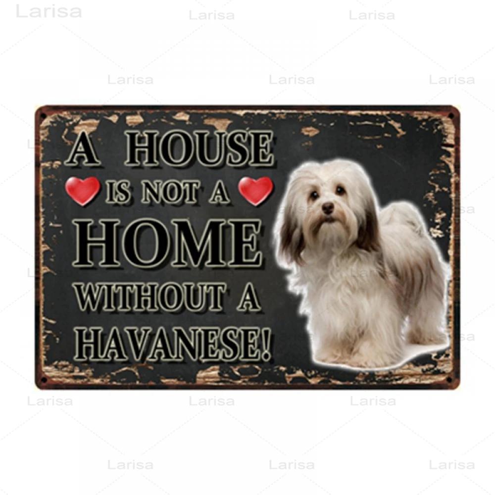 Pets Animal Dog Metal Poster Pitbull Bulldog Chihuahua Tin Sign Vintage Plate Home Decor Bar Pet Shop Wall Art Metal Painting