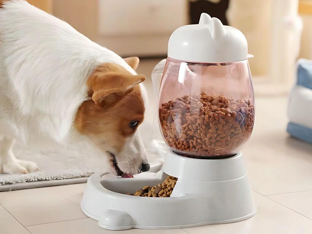 Food and Water Dispenser (24)