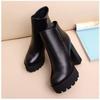 2025 New Autumn and Winter High Heels Short Boots Women's Thick Heel Single Boots Warm Velvet Waterproof Table Martin Boots Women's Boots