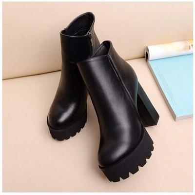 2025 New Autumn and Winter High Heels Short Boots Women's Thick Heel Single Boots Warm Velvet Waterproof Table Martin Boots Women's Boots