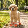 Breathable Dog Mesh Shoes Soft Summer Dog Shoes Anti Slip Dog Shoes for 4PCS/SET Spring Summer