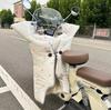 Electric Vehicle Winter Windshield: Flannel Cartoon Style, Fleece-Lined, Thickened, Enlarged for Maximum Warmth (2025 Model)