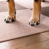 Sanko Just Place and Veterinarian Pet Tile 30cm x 40 Sanko Made in Can be Cut with Stick, Recommended, Water-Repellent Mat, 30cm, Pieces, Green, Dog,