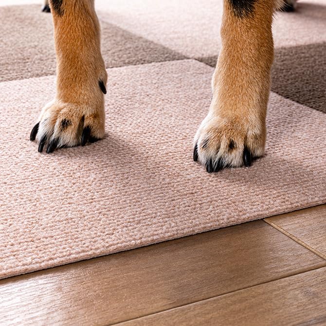 Sanko Just Place and Veterinarian Pet Tile 30cm x 40 Sanko Made in Can be Cut with Stick, Recommended, Water-Repellent Mat, 30cm, Pieces, Green, Dog,