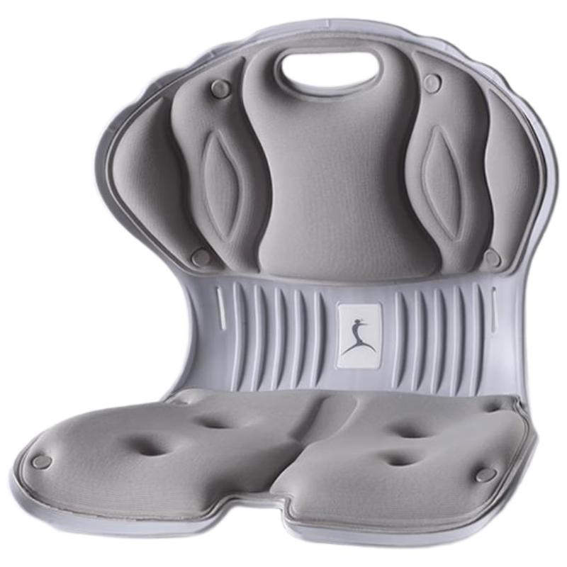 

Aige Lumbar Support Office Cushion