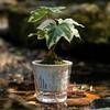 Flowerpot PET Highly Transparent Self-Watering Planter with Glacier Pattern Double-Layer Design Breathable Inner