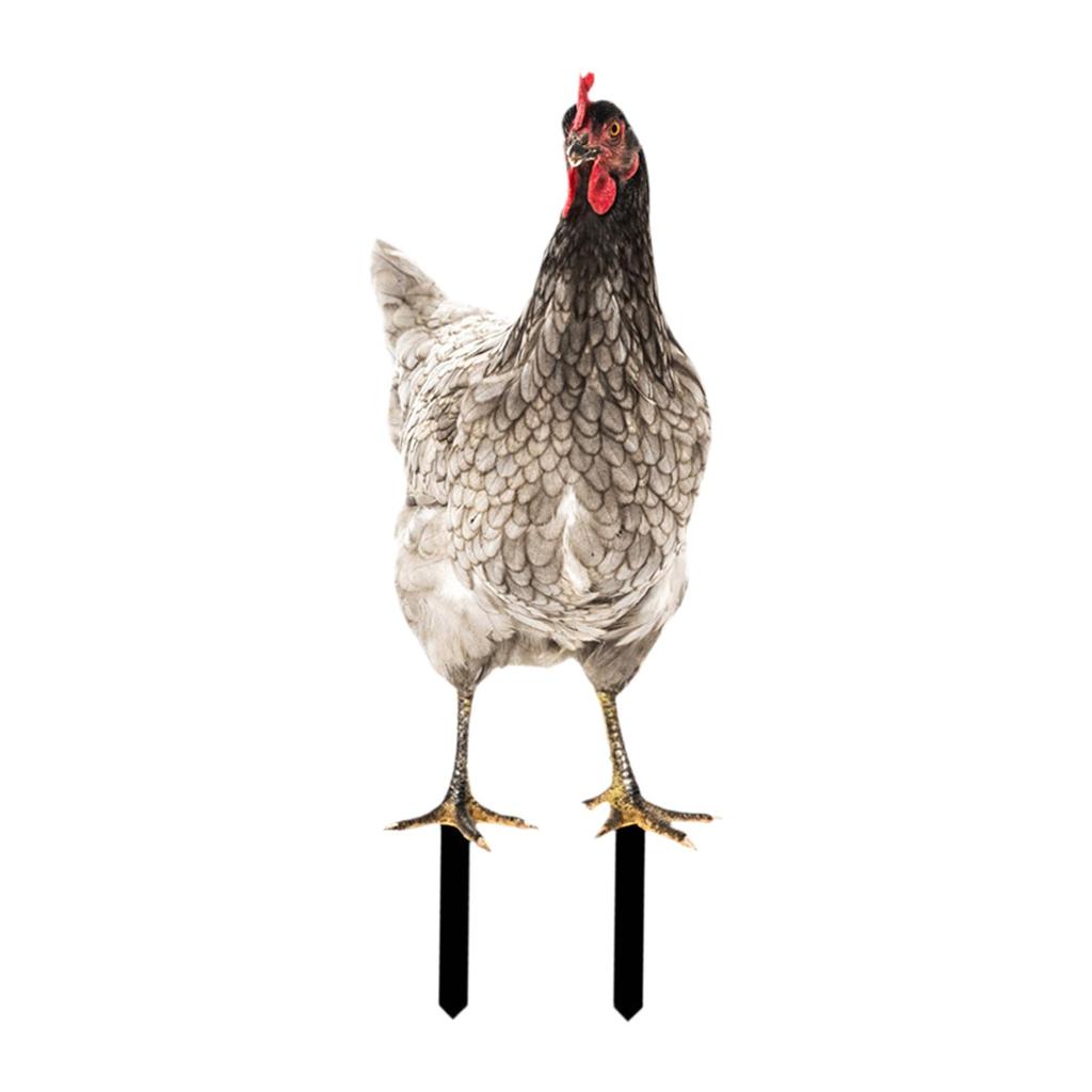 Henne Rasenornament Skulptur Veranda Huhn Gartenskulptur Hahn Hofpfahl für Weg Flur Weihnachtsbeet Thanksgiving