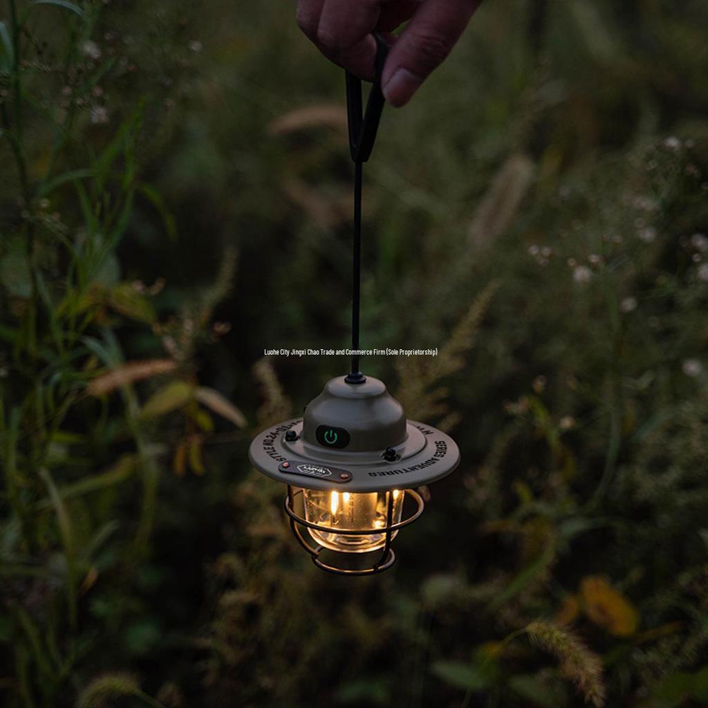 Mini Pinecone Retro Handheld Lamp - 8h Battery Life Outdoor Camping Light