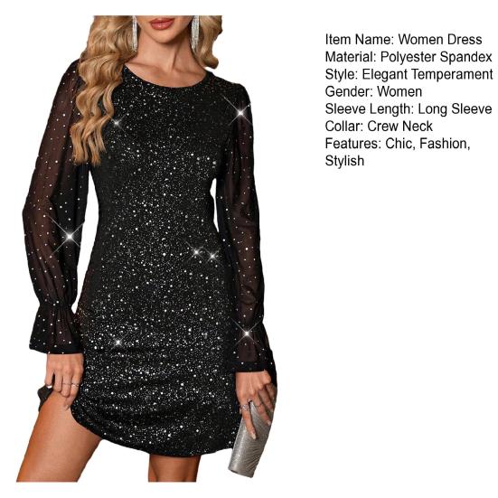 Women's Sexy Sheer Mesh Long Sleeve Mini Dress Sparkly Crew Neck A Line Dress Party Club Night Outfit
