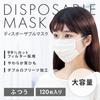 IRIS OHYAMA Disposable Nonwoven Pleated Regular 120 Count Masks, Size,