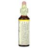 Original Bachblüte, Wilder Hafer, 20 ml (0.7 fl oz)