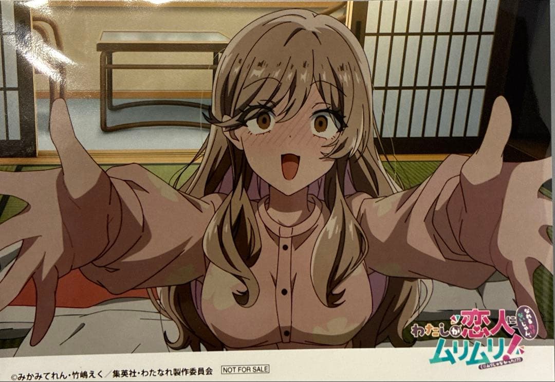 

[USED] Watanare Blu-ray Volume 3 Bonus: Sena Hydrangea Memorial Bromide