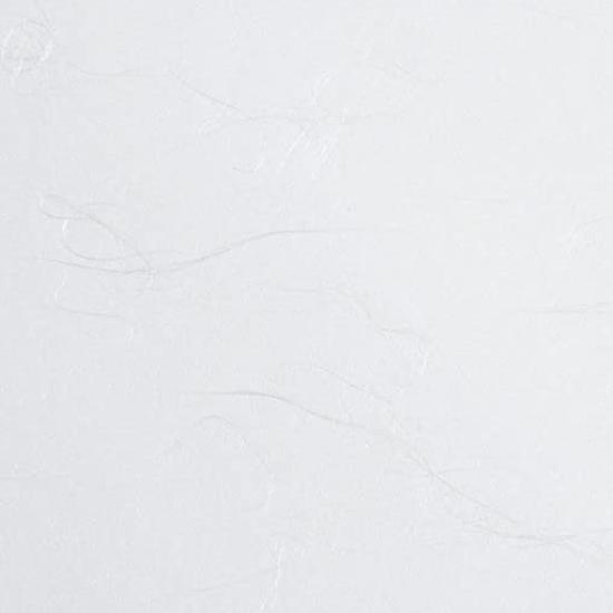 Copy Japanese Printed Japanese Food Iyo Food Silver 50 Sheets Paper, Paper, Paper, Menu, Paper, Washi, Dragon, A4,