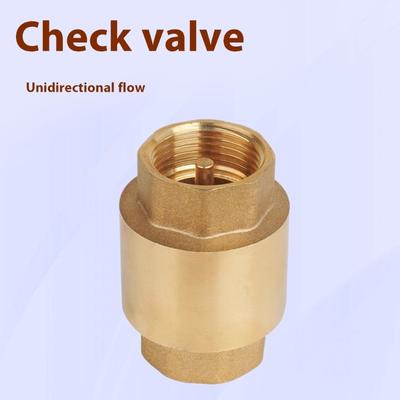 Heavy Duty Brass Check Valves With Internal Thread Vertical Installation For High Pressure Pipe Systems Spring Design