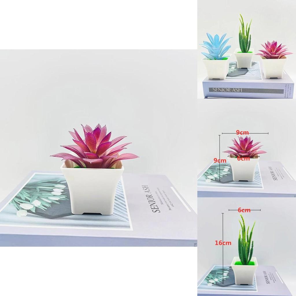 Plastic Faux Succulent Plant With Injection Mold Craft For Desktop Decor