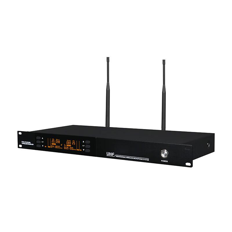 Xun Er Wei Professional Dual Wireless Conference Microphone System (CN version)